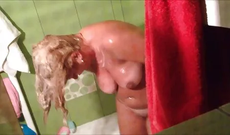 I vecchie troie tedesche cavalli come desideri.